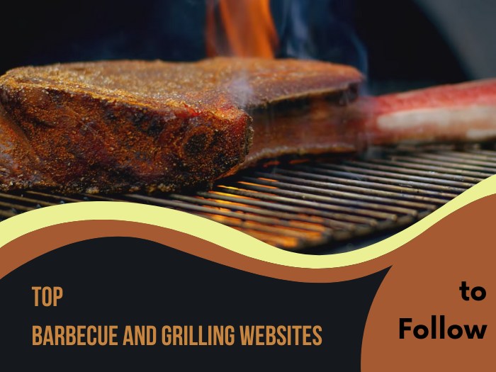 Top Barbecue and Grilling Websites to Follow